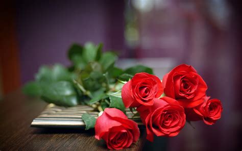 Red Roses Love wallpaper | 2560x1600 | #31571