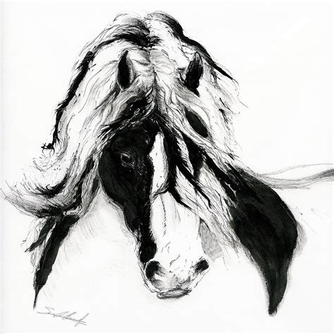 Gypsy Cob Drawing by Sara Cuthbert