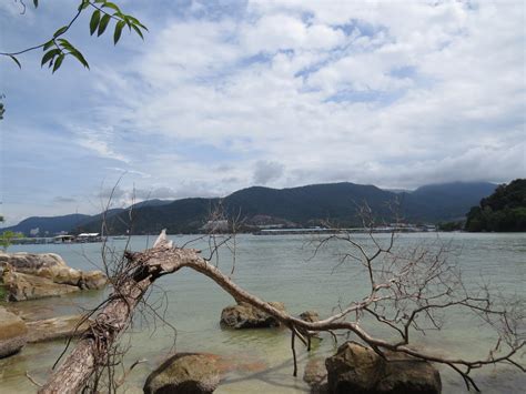 Trekking in Penang National Park - Asia Books and Travel