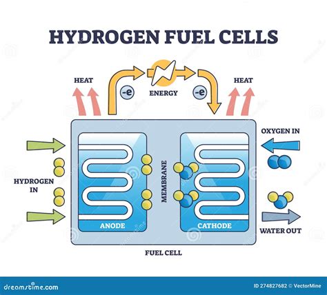 Hydrogen Fuel Cells Work Principle with Educational Structure Outline ...