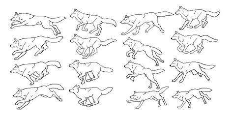 Wolf running cycle | Wolf sketch, Running drawing, Wolf running