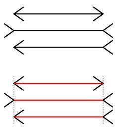 How the Muller-Lyer Illusion Is Used in Psychology | AP Psychology Stuff | Optical illusions ...