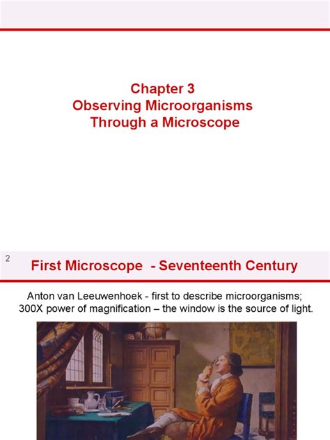 Ch. 3 Observing Microorganisms Through A Microscope | PDF | Staining | Scanning Electron Microscope