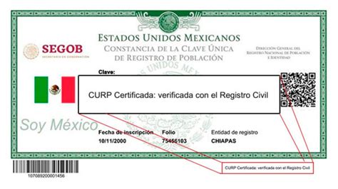 CURP Certificada 2023, te decimos cómo obtenerla • Innovación y ...