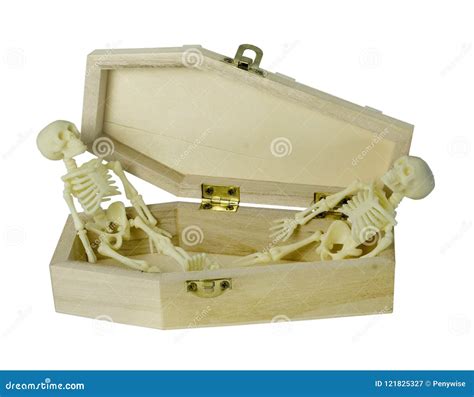 Two Skeletons in a Coffin stock image. Image of bones - 121825327