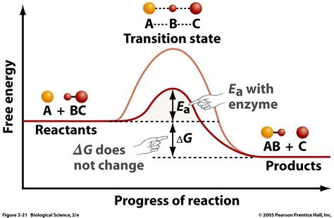 TelepathHero: Biochemistry