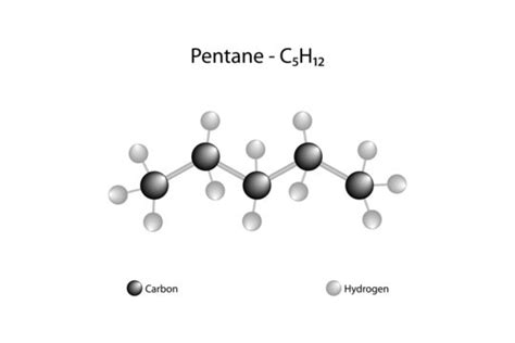 N Pentane Lewis Structure