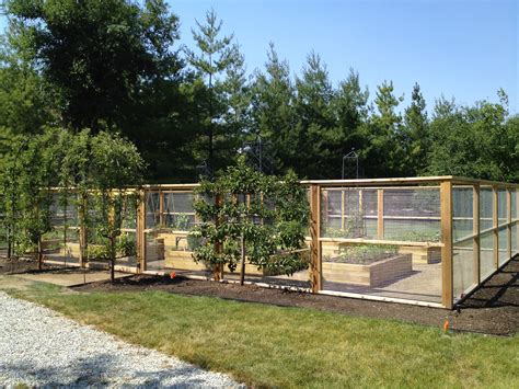 10 Fantastic Garden Fence Ideas To Keep Deer Out 2024