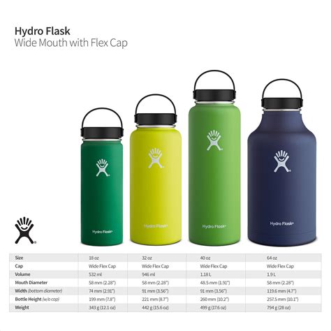 Hydroflask, Graphite Flex Cap Wide Mouth 32oz, 1 Count - WeatherEgg®