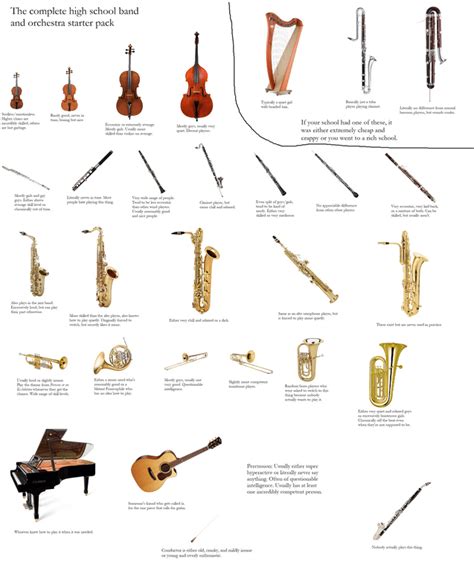 The complete high school band and orchestra instruments starterpack ...