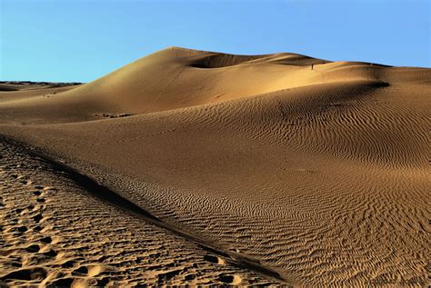 Sahara oriental : les dunes de l'erg Admer