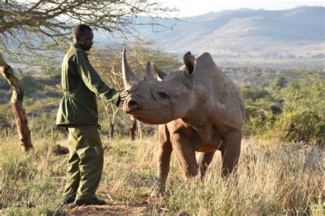 Endangered animal species in Kenya | Kenya Safaris Tours | Kenya Tours