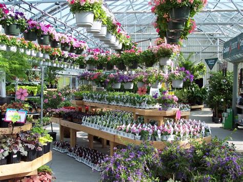 Annual greenhouse at W & W Nursery Apalachin,NY | Ide berkebun, Kebun sayur, Kebun