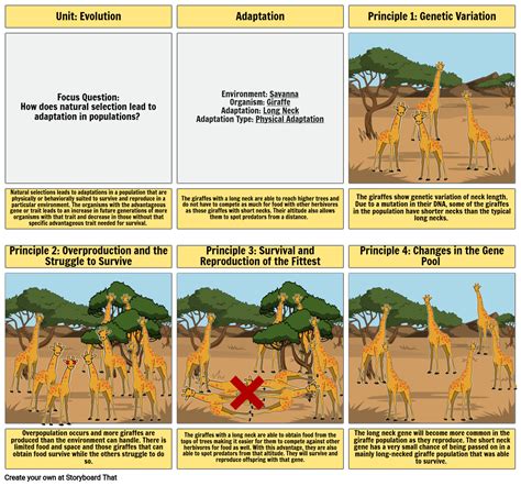 Biology Natural Selection Storyboard by aguevara