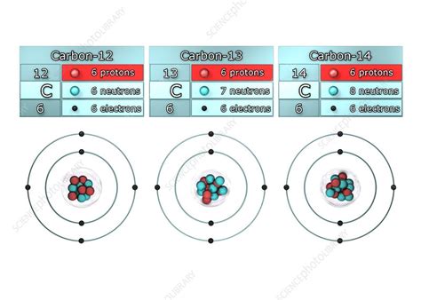 Isotopes of carbon, illustration - Stock Image - C028/6464 - Science Photo Library