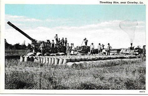 Picture Postcard - Crowley, Louisiana - Threshing Rice | Louisiana ...