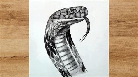 Pencil Drawings Of Snake Heads