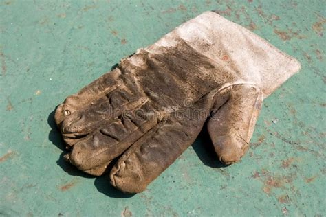 Working glove isolated stock photo. Image of leather - 16593360