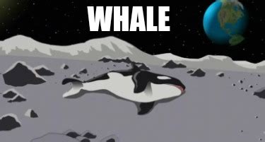 Meme Creator - Funny Whale Meme Generator at MemeCreator.org!