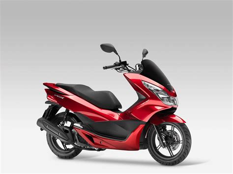 maggior parte Vegetazione archivio scooter honda pcx 125 prix neuf ...