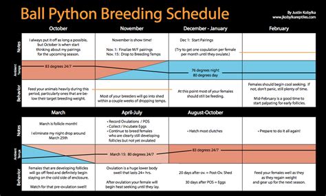 JKR Ball Python Breeding Schedule | The Ball Street Journal