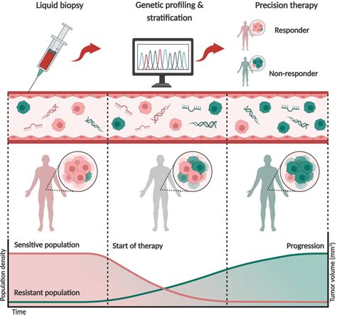 The Role of Liquid Biopsy Biomarkers in Lung Cancer: Current and Future Applications - NHSJS