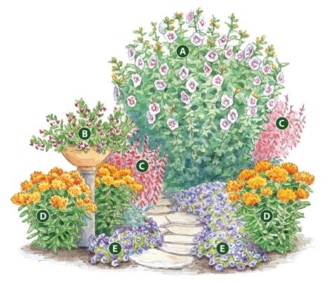 Hummingbird Garden Layout | Fasci Garden