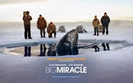 WATERFALL ROAD: BIG MIRACLE THE MOVIE