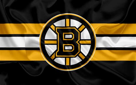 Bruins Logo