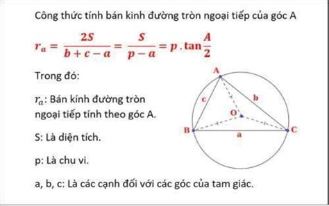 Đường Tròn Ngoại Tiếp Tam Giác & Những Kiến Thức Cần Biết