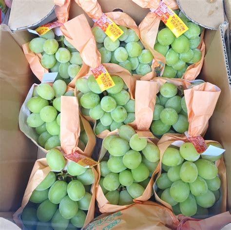 Japanese Shine Muscat Grape (600-700g approx) — MomoBud