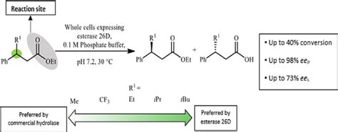 Identification of an Esterase Isolated Using Metagenomic Technology ...