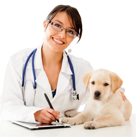 Major Overview: Pre-Veterinary Program