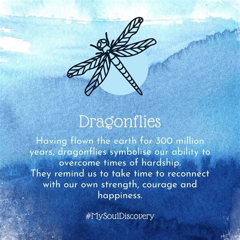 11 dragonfly meanings – understanding dragonfly symbolism – Artofit