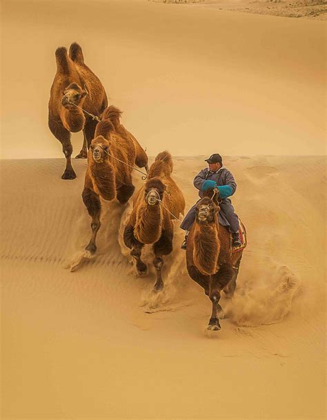 Gobi Desert - Escape To Mongolia