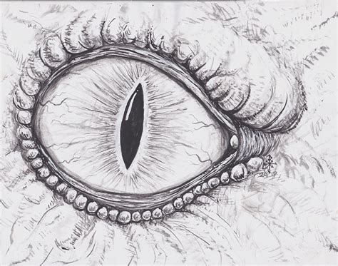 Dragon Eye Drawing by PJ Scoggins - Fine Art America