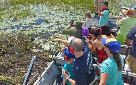 Everglades Swamp Tours dans Homestead/Florida City Area , FL