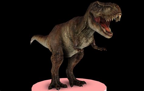 T-Rex 3D Model Game ready .obj .fbx .mtl .tga - CGTrader.com