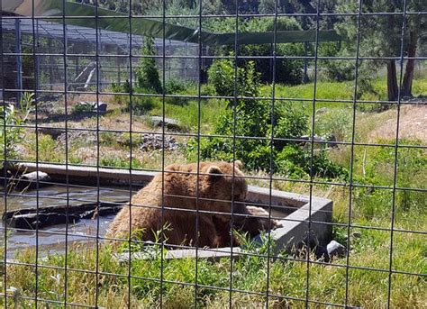 Kamloops Wildlife Park - All You Need to Know Before You Go - TripAdvisor