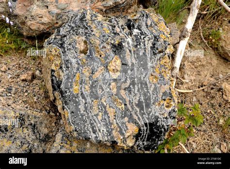 Obsidian is a volcanic glass. Obsidian Cliff, Yellowstone National Park ...