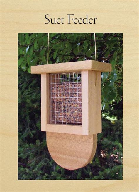 Suet Bird Feeder | Woodworking Project | Woodsmith Plans