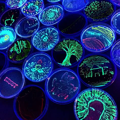 Painting with Microbes: ASM Agar Art Contest, Genspace, Brooklyn, 9 ...