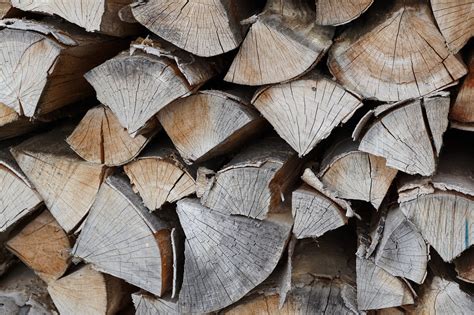 Best Logs for a Wood Burning Stove | Choosing Firewood