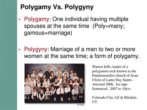 Polygamy Vs Bigamy Definition - DEFINITION HJO