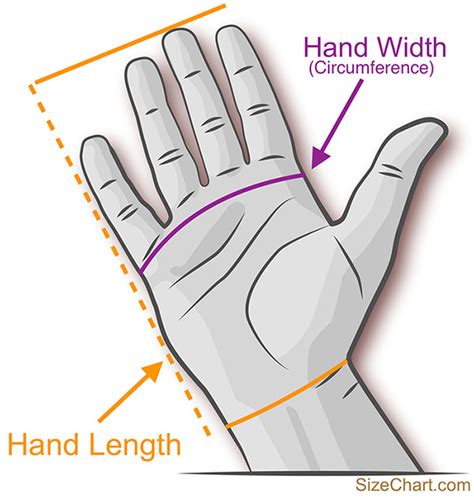 Glove Sizes Explained - Images Gloves and Descriptions Nightuplife.Com