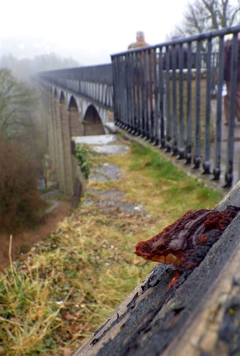 Pontcysyllte Aqueduct - IMGP0869a | It is still amazing to m… | Flickr