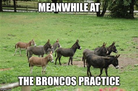 denver broncos Memes & GIFs - Imgflip