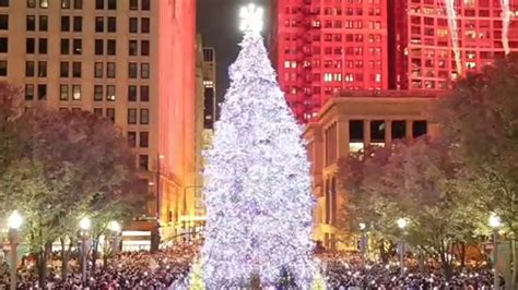 Chicago Christmas tree: City taking nominations for official holiday ...