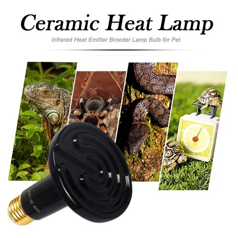 🥇 Best Turtle Heat Lamps [UPDATED 2019]