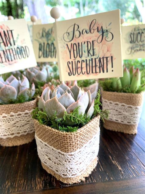 12 Baby Shower Favors Succulents With Personalized Funny Pun - Etsy